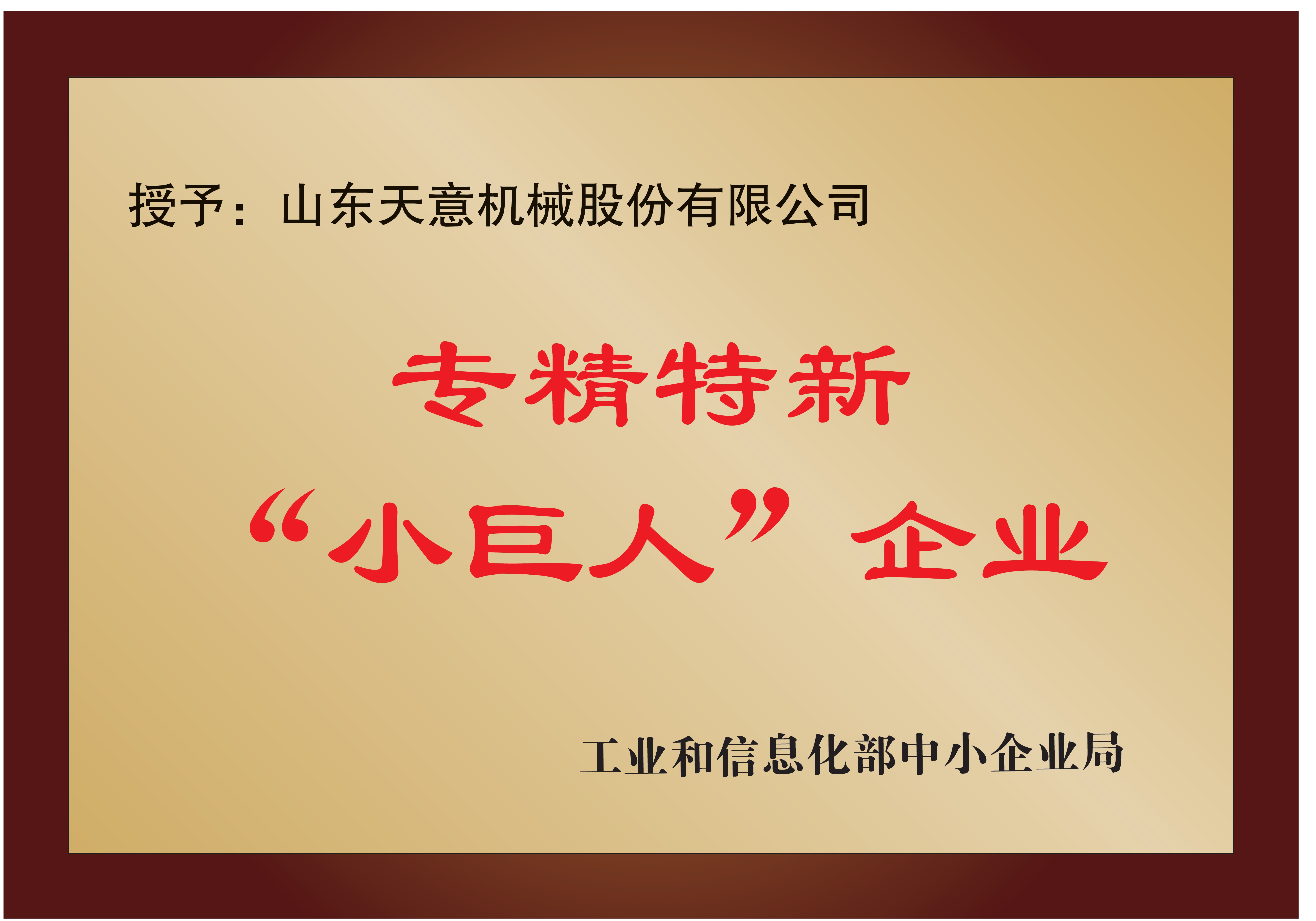 國家專精特新“小巨人”企業(yè)